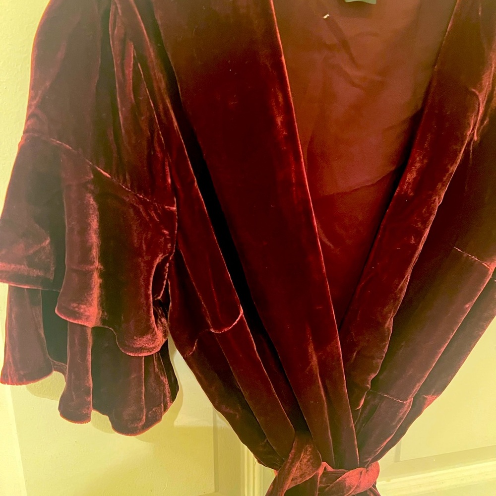 COPY - Club monaco velvet wrap dress